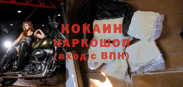 крисы Абаза